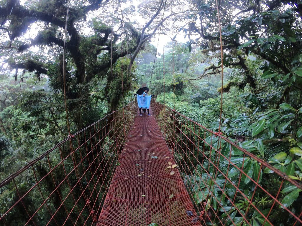Monteverde Cloud Forest Hanging Bridge