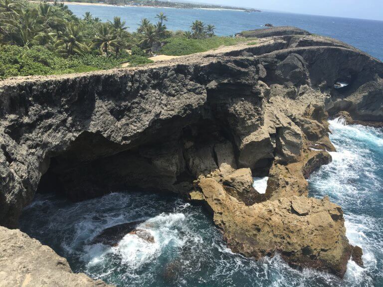 Workaway Experience at a Hostel in San Juan, Puerto Rico Workaway San Juan