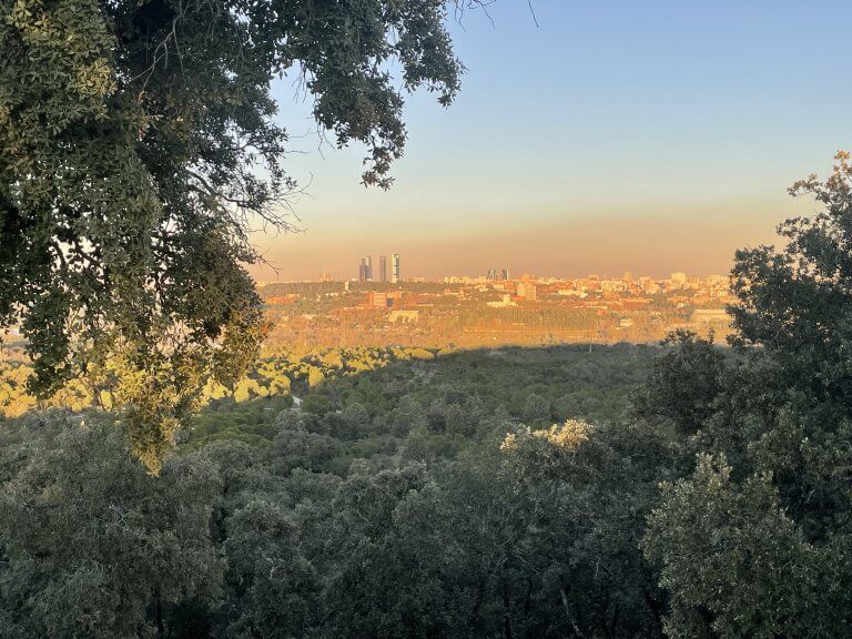 Madrid Skyline Views